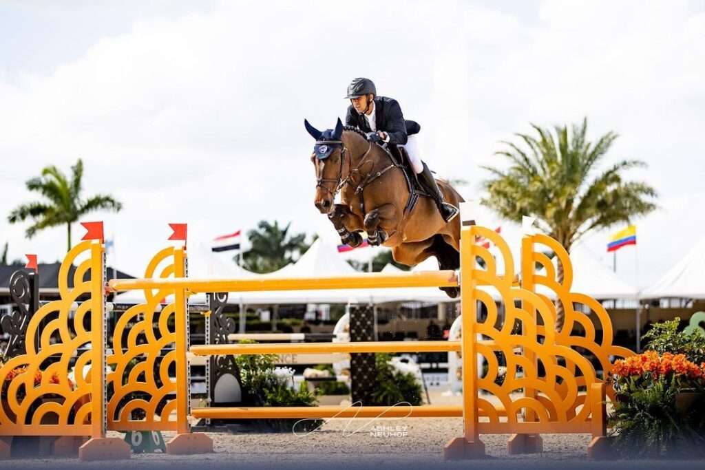 a man riding a horse over an orange obstacle